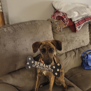 Fundraising Page: Carol Mcgowan